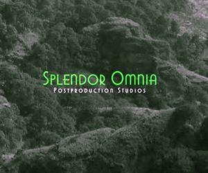    Splendor Omnia Studios 